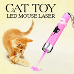 Portable Creative Cat Toys