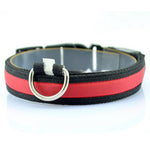 Nylon LED Pet Dog Collar