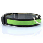 Nylon LED Pet Dog Collar