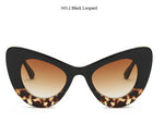 Cat Eye Sunglases