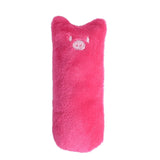 Cat Toys