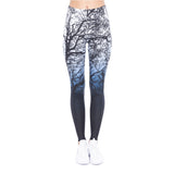 Zohra New Design Women Legging