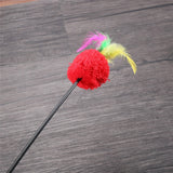 Pet cat toy,