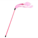 Pet cat toy,