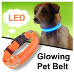 Pet Dog LED Collar