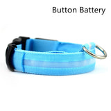 Pet Dog LED Collar