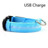 Pet Dog LED Collar