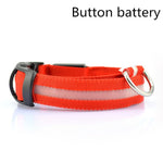 Pet Dog LED Collar