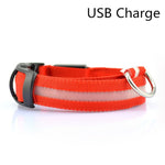 Pet Dog LED Collar