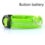 Pet Dog LED Collar