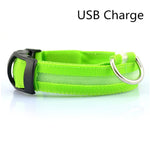 Pet Dog LED Collar