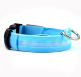 Nylon LED Pet dog Collar