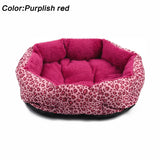 Colorful Leopard Dog Bed