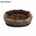 Colorful Leopard Dog Bed