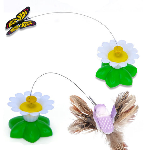 Butterfly Funny  Cat Toys