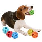 Interactive Rubber Balls Dog