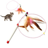 Pet cat toy,